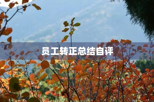 员工转正总结自评