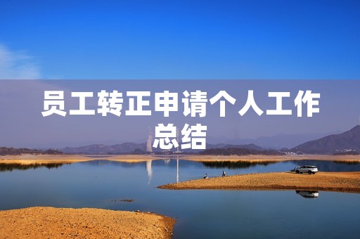 员工转正申请个人工作总结
