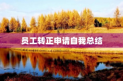 员工转正申请自我总结