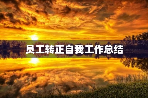 员工转正自我工作总结