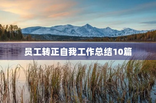 员工转正自我工作总结10篇
