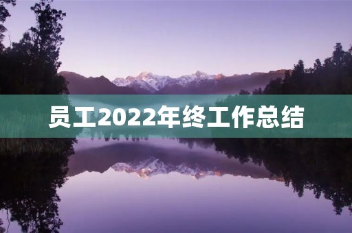 员工2022年终工作总结