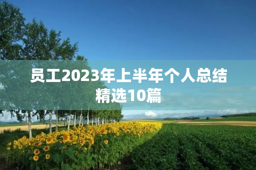 员工2023年上半年个人总结精选10篇