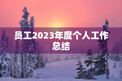 员工2023年度个人工作总结(14篇)