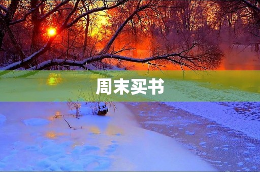 周末买书