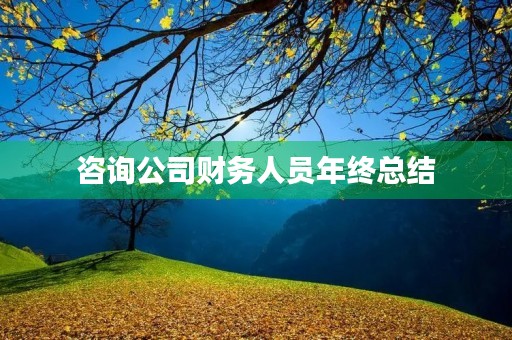 咨询公司财务人员年终总结