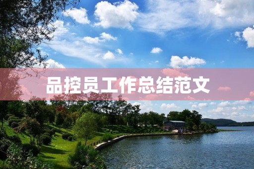 品控员工作总结范文