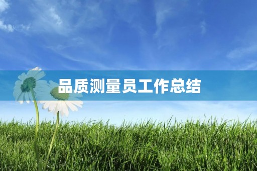 品质测量员工作总结