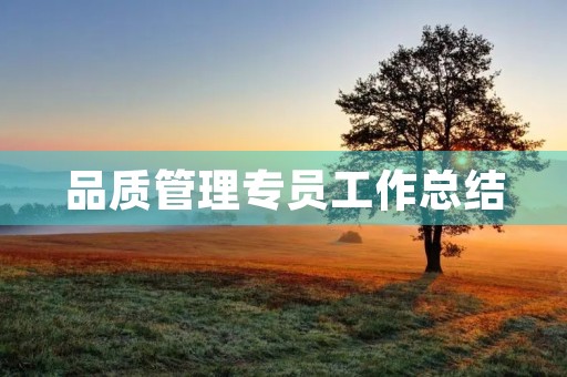 品质管理专员工作总结