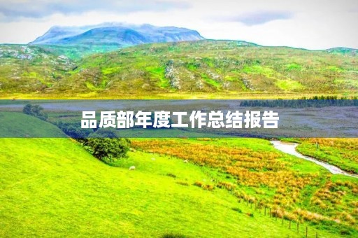 品质部年度工作总结报告