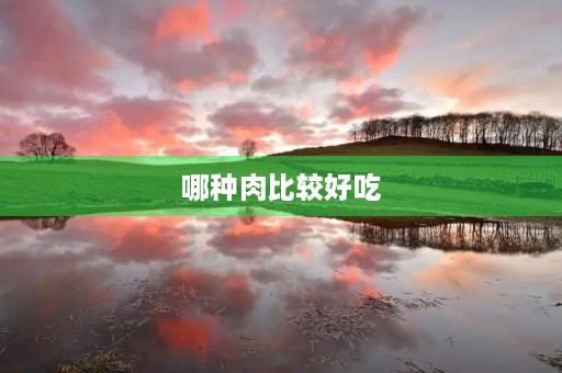 哪种肉比较好吃