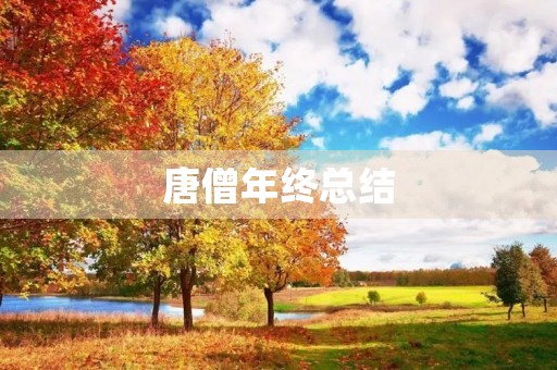 唐僧年终总结