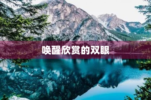 唤醒欣赏的双眼 唤醒欣赏的双眼