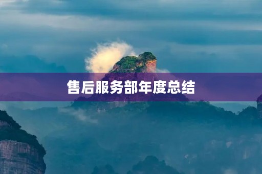 售后服务部年度总结