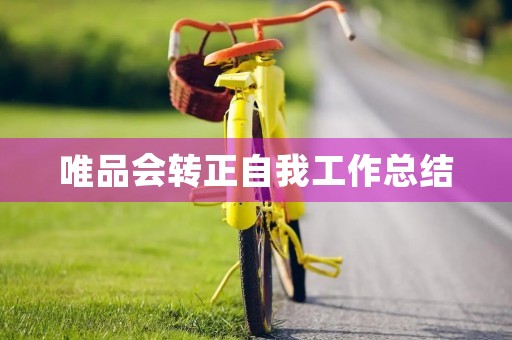 唯品会转正自我工作总结