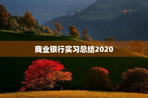商业银行实习总结2020 商业银行实习总结2020
