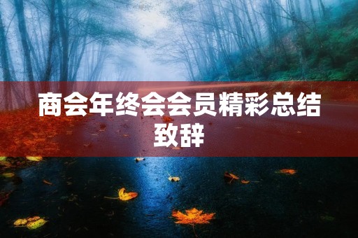 商会年终会会员精彩总结致辞