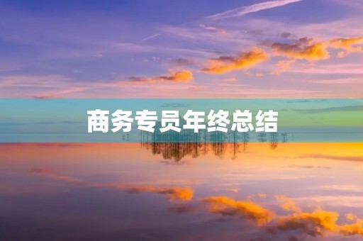 商务专员年终总结 商务专员年终总结