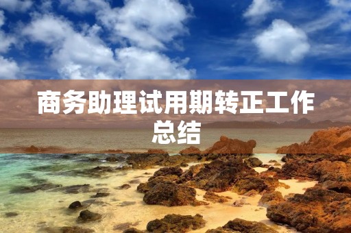 商务助理试用期转正工作总结