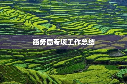 商务局专项工作总结