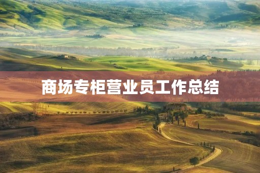 商场专柜营业员工作总结