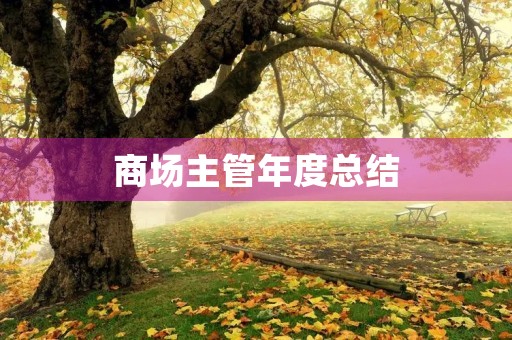 商场主管年度总结