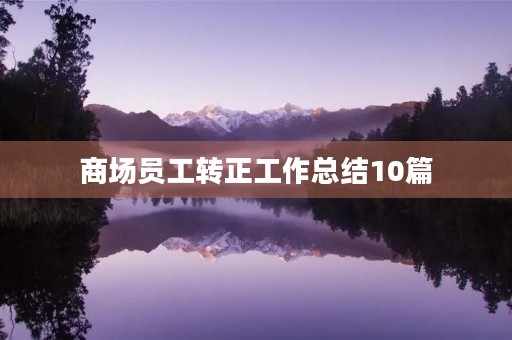 商场员工转正工作总结10篇