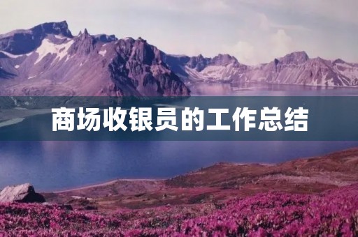 商场收银员的工作总结 商场收银员的工作总结