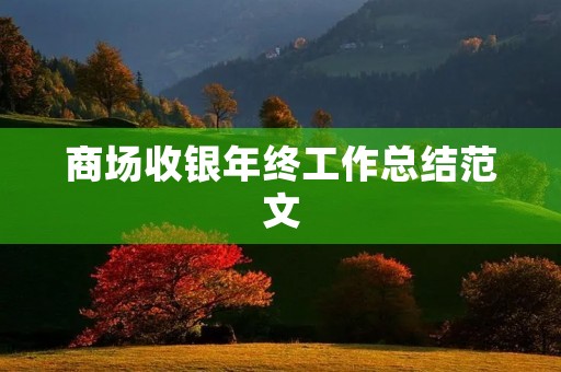 商场收银年终工作总结范文 商场收银年终工作总结范文