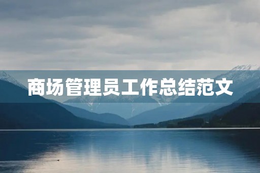 商场管理员工作总结范文