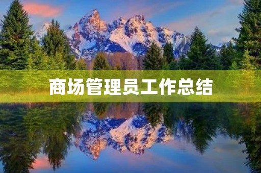 商场管理员工作总结