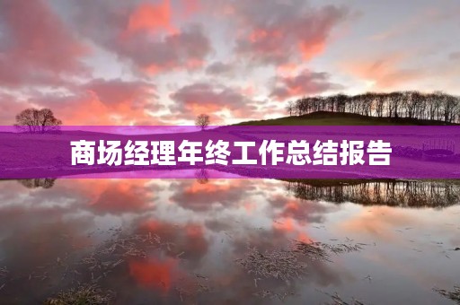 商场经理年终工作总结报告