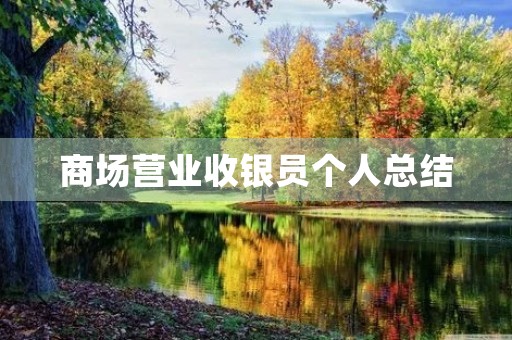 商场营业收银员个人总结