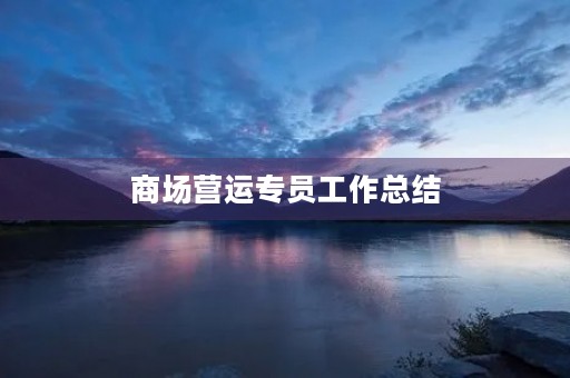 商场营运专员工作总结