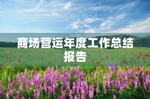 商场营运年度工作总结报告
