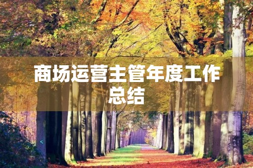 商场运营主管年度工作总结