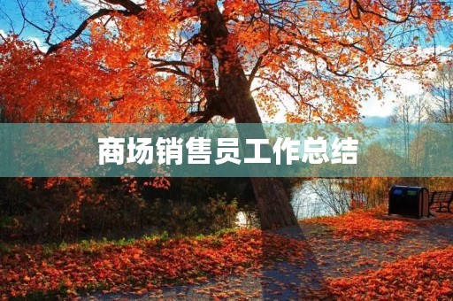 商场销售员工作总结