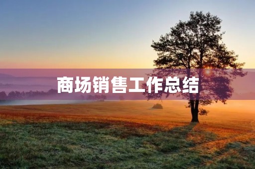 商场销售工作总结