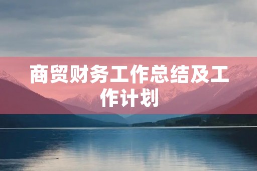 商贸财务工作总结及工作计划