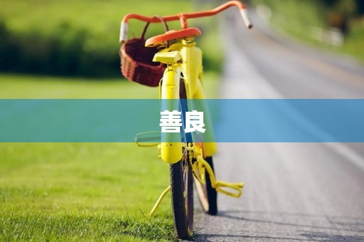 善良 善良