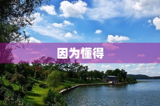 因为懂得 因为懂得