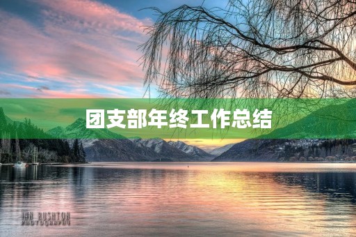 团支部年终工作总结 团支部年终工作总结