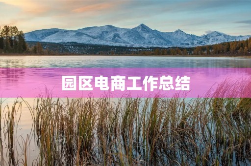 园区电商工作总结