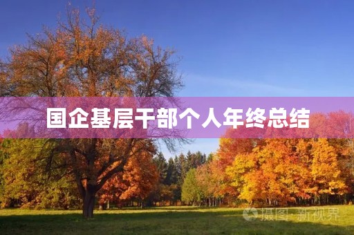 国企基层干部个人年终总结