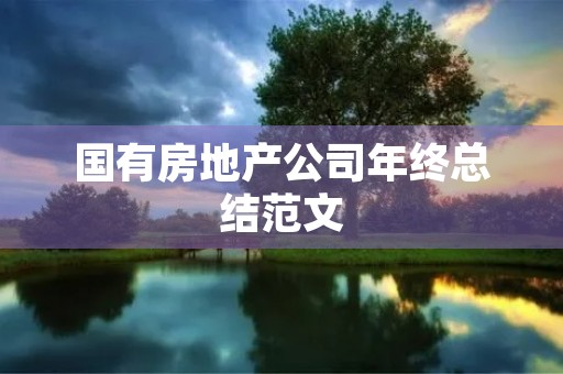 国有房地产公司年终总结范文