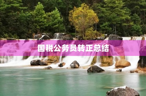 国税公务员转正总结