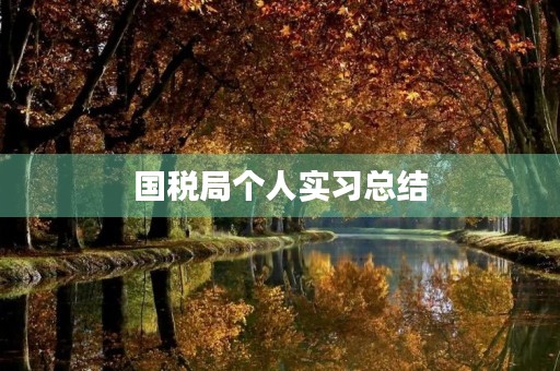 国税局个人实习总结