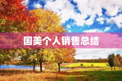 国美个人销售总结