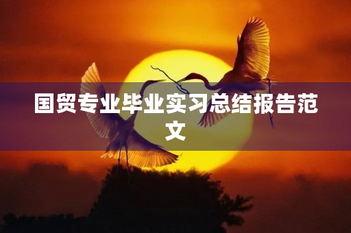 国贸专业毕业实习总结报告范文