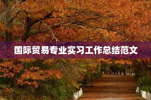 国际贸易专业实习工作总结范文 国际贸易专业实习工作总结范文